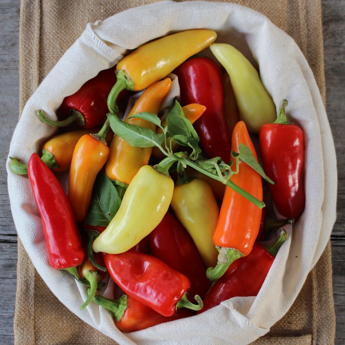 Chilli 'Sante Fe Grande' (Organic)