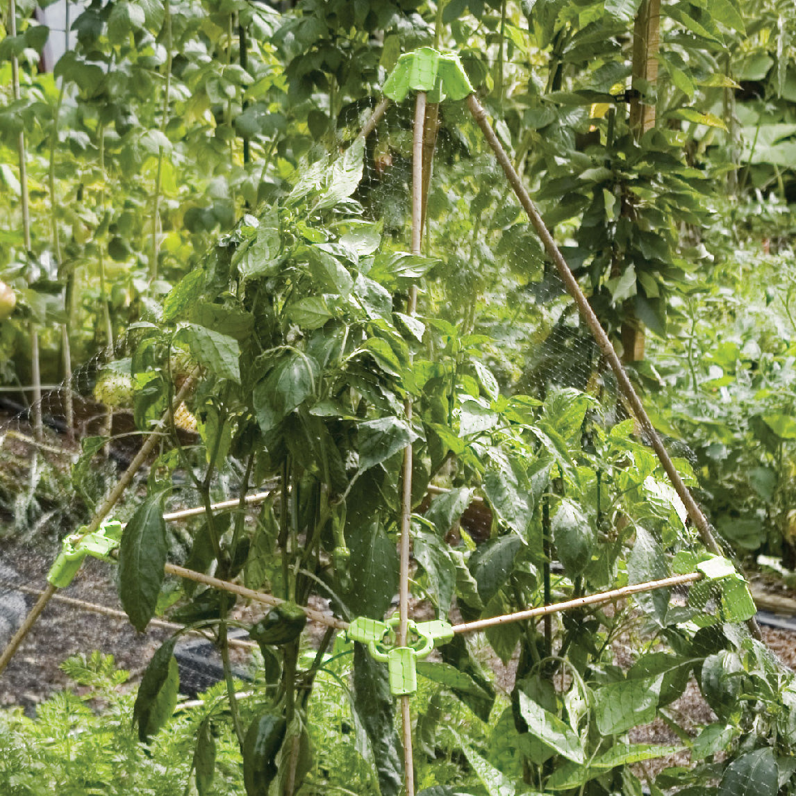 Connectors For 8-16mm Bamboo Canes