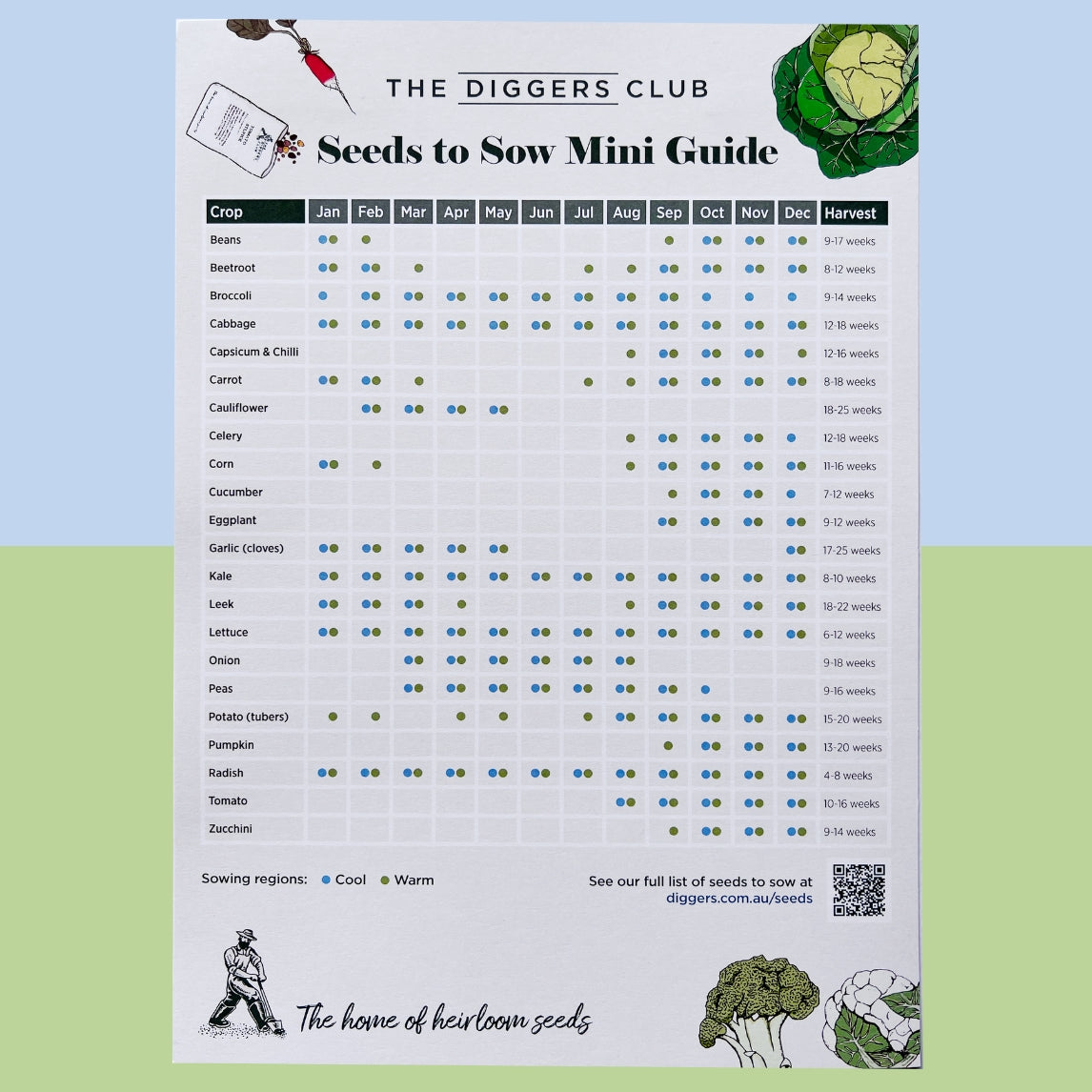 Sowing Guide - Cool/Warm