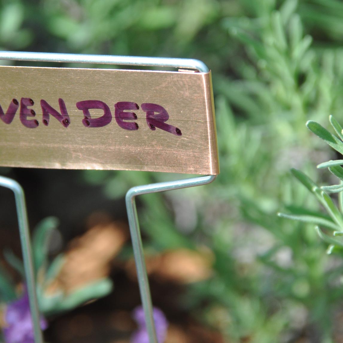 Copper Push In Plant Labels  Pack Of 10