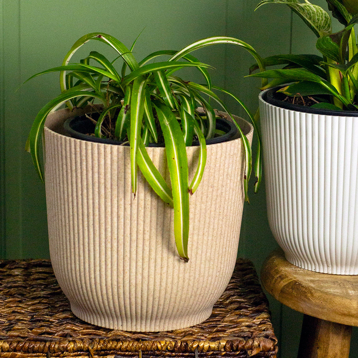 Cover Pot - Natural