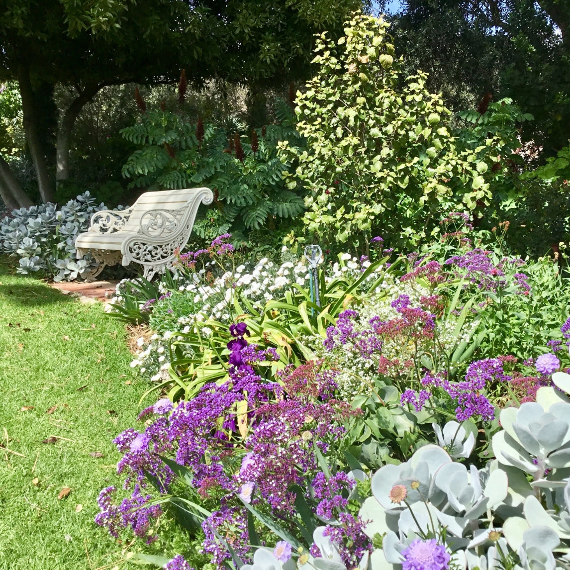Designing for a Mediterranean climate garden