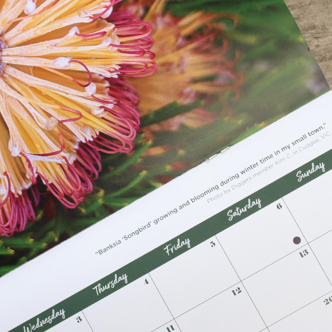 Diggers 2024 Gardening Calendar