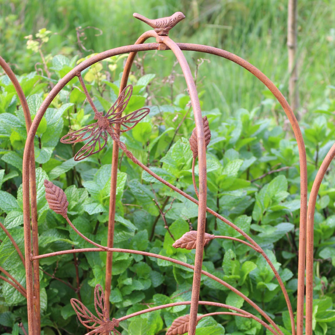 Growing Frames