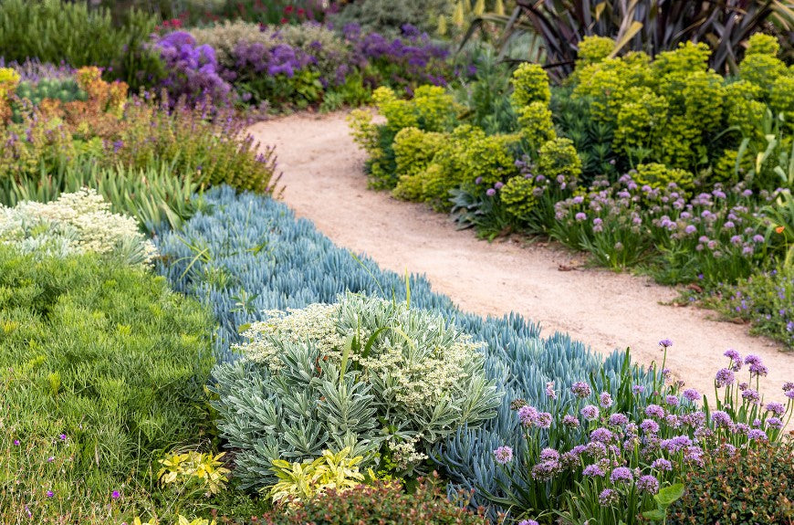 Drought Proofing Your Garden Workshop 2024