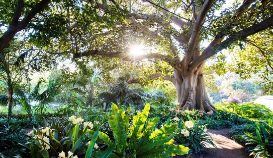 Every Garden Makes A Difference Masterclass 2024