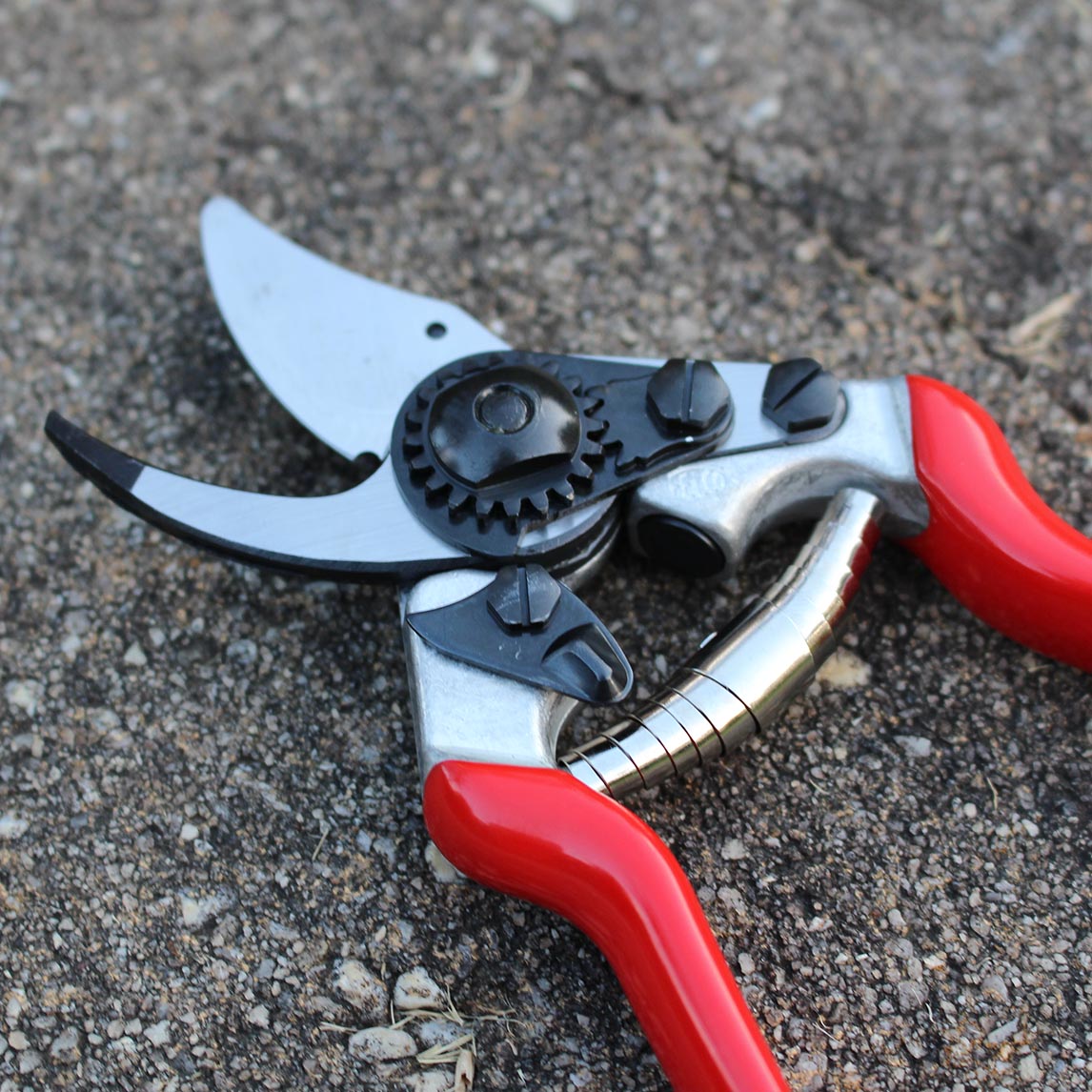 Felco 14 - Small Hands