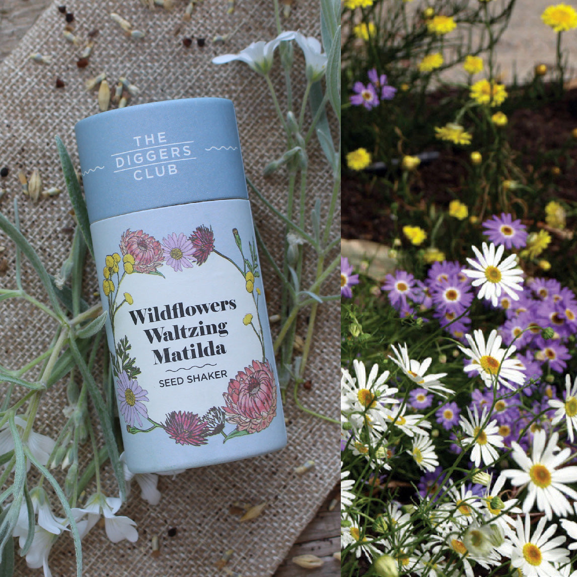 Wildflower Seed Shaker The Diggers Club