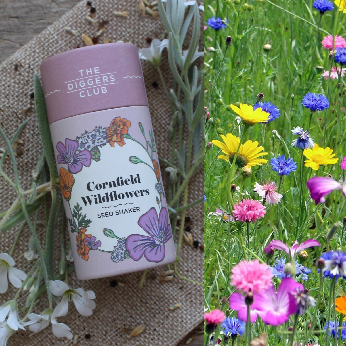 Wildflower Seed Shaker The Diggers Club