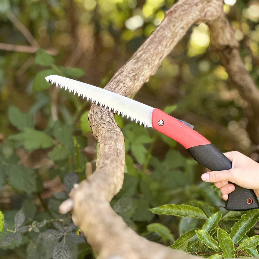 Pruning Saw