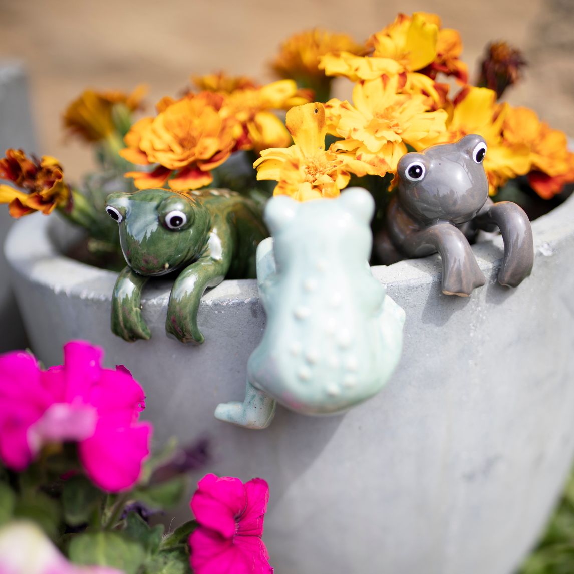 plant pot sitters Frog Pot Sitter – Pack of 3 - Assorted colours
