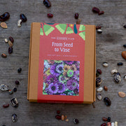 From Seed to Vase Gift Box