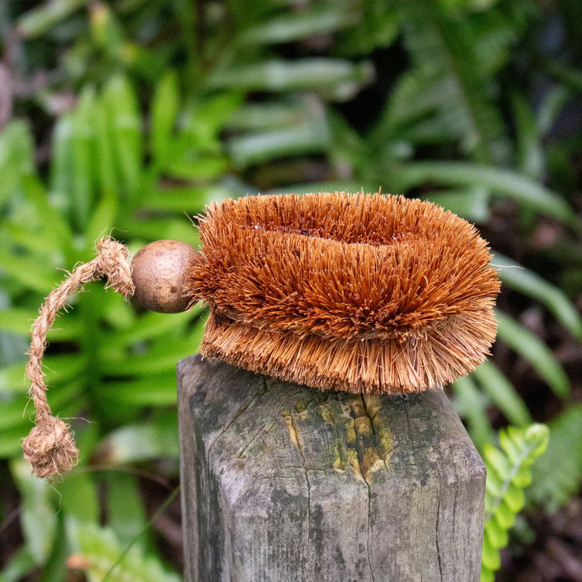 Gardeners Cleaning Brush