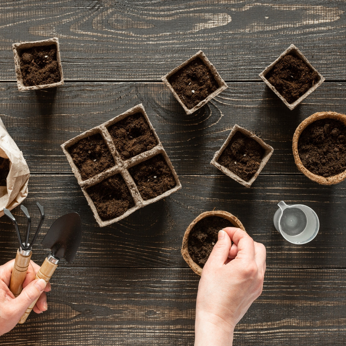 Gardening with children workshop