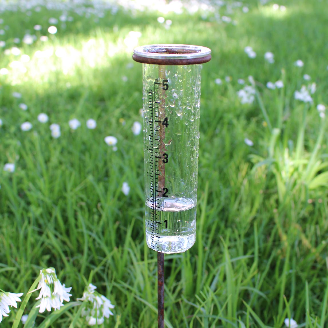 Rain Gauge