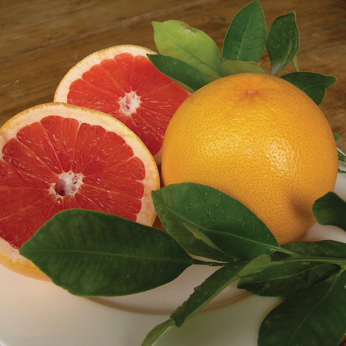 Grapefruit 'Rio Red'