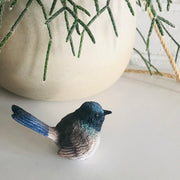 Fairy Wren - Blue