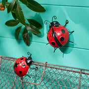 Ladybug