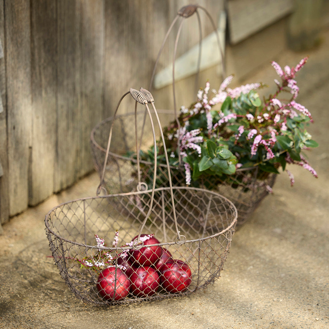 Rounded Metal Basket - various sizes