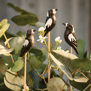 Hand-carved Timber Magpie on Stick
