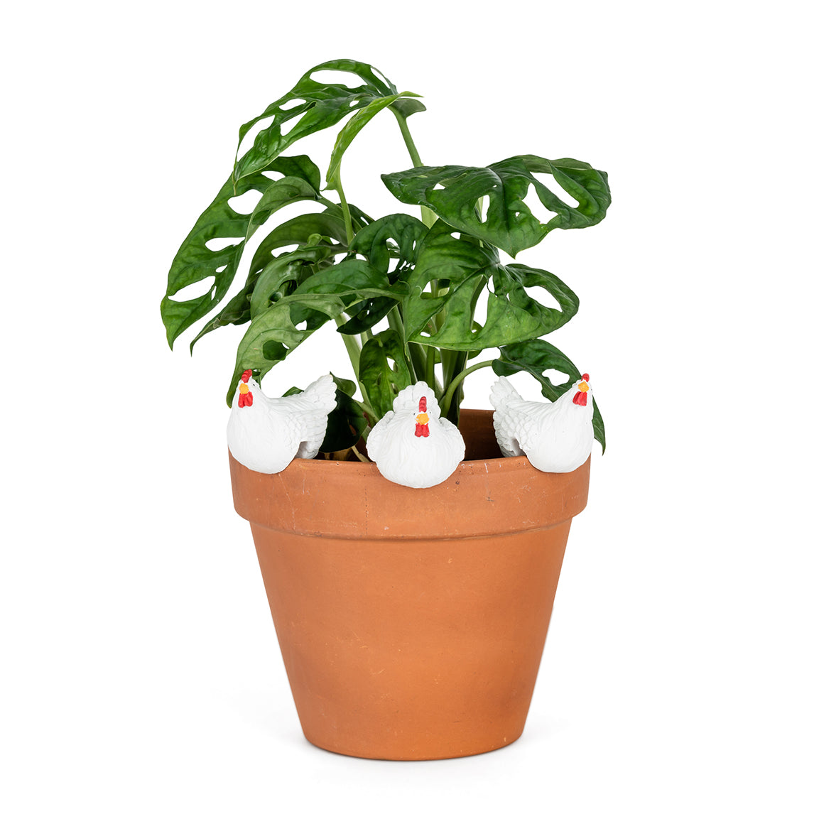 Chicken Pot Sitters - Set of 3