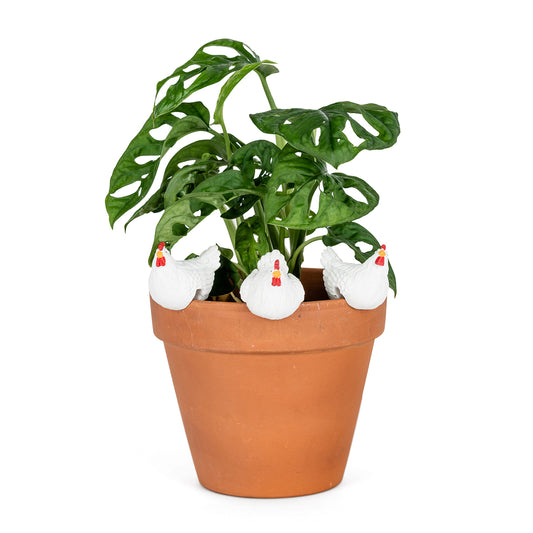 Chicken Pot Sitters - pack of 3