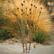 Billy Button Spray - Rust finish