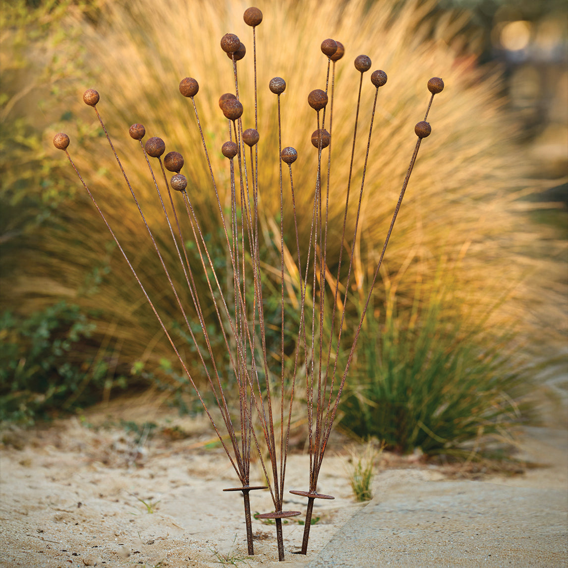 Billy Button Spray - Rust finish