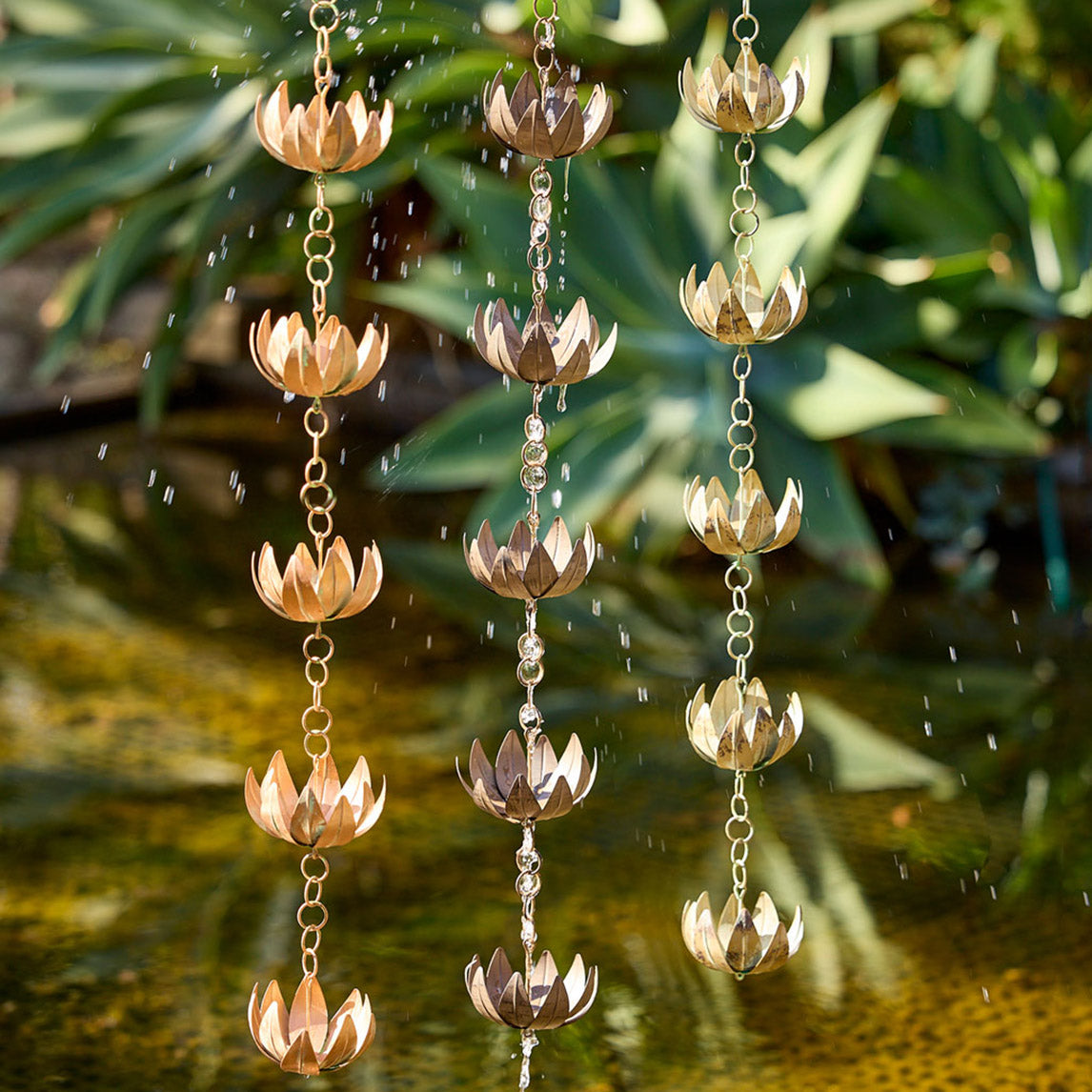Rain Chain Lotus - Assorted Colours