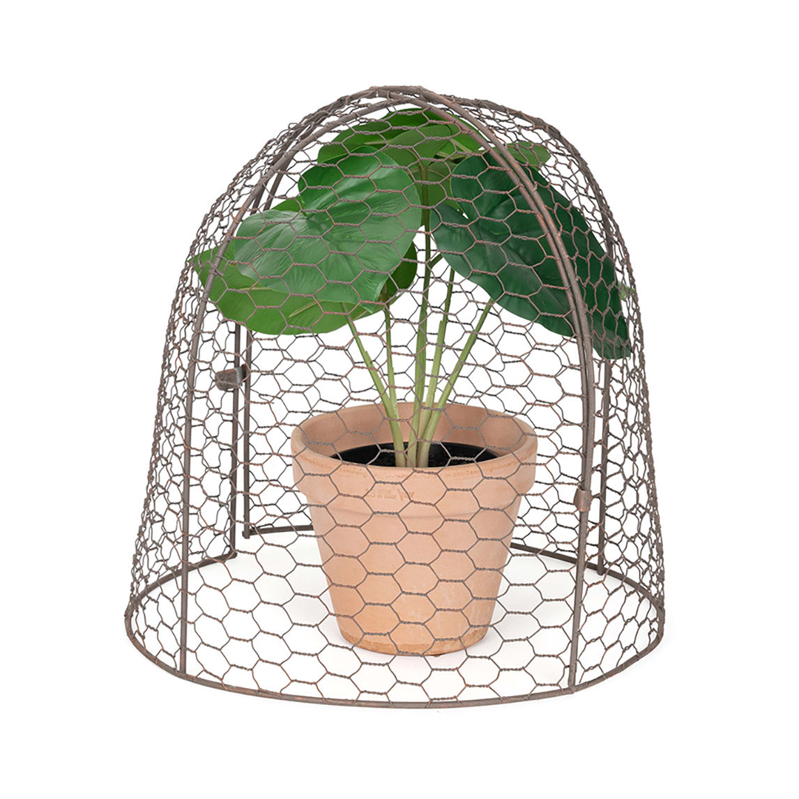 Wire Cloche