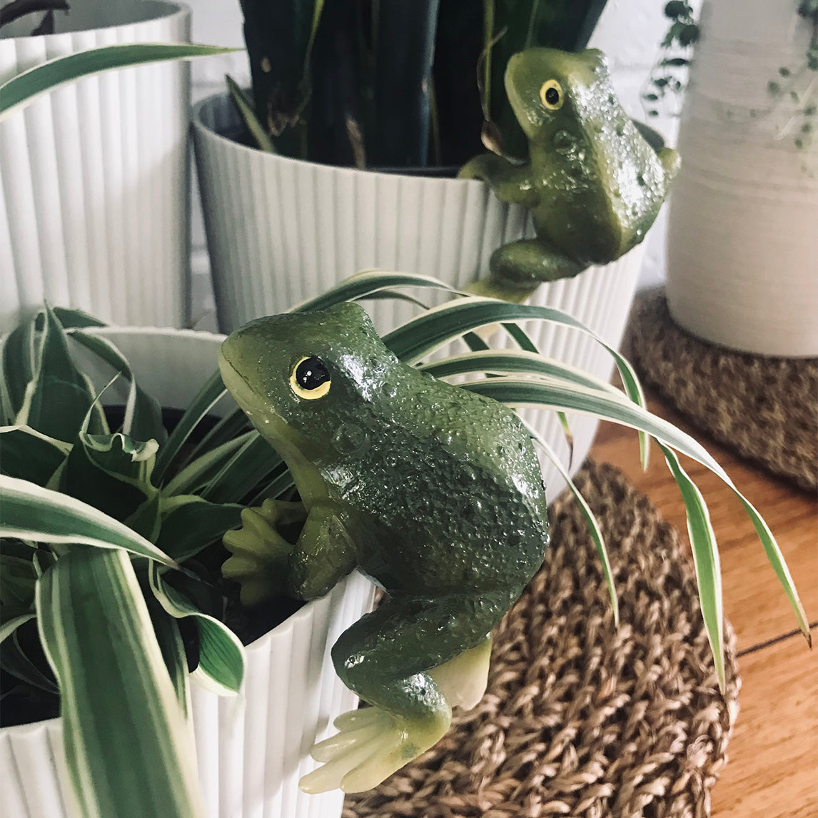 Green Tree Frog Pot Sitters - Set of 2
