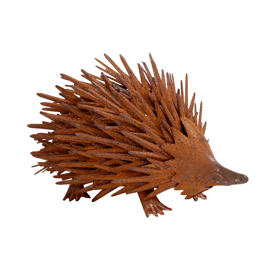 Echidna Rust Finish