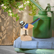 Fairy Wren Timber Standing
