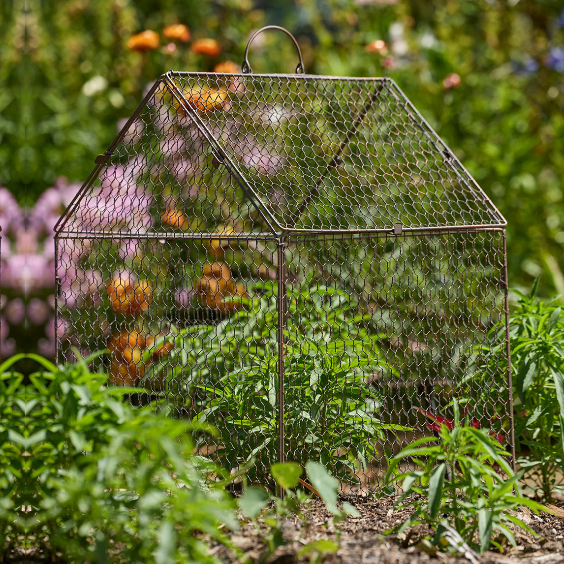 Cloche Wire - House