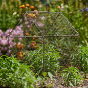 Cloche Wire - House