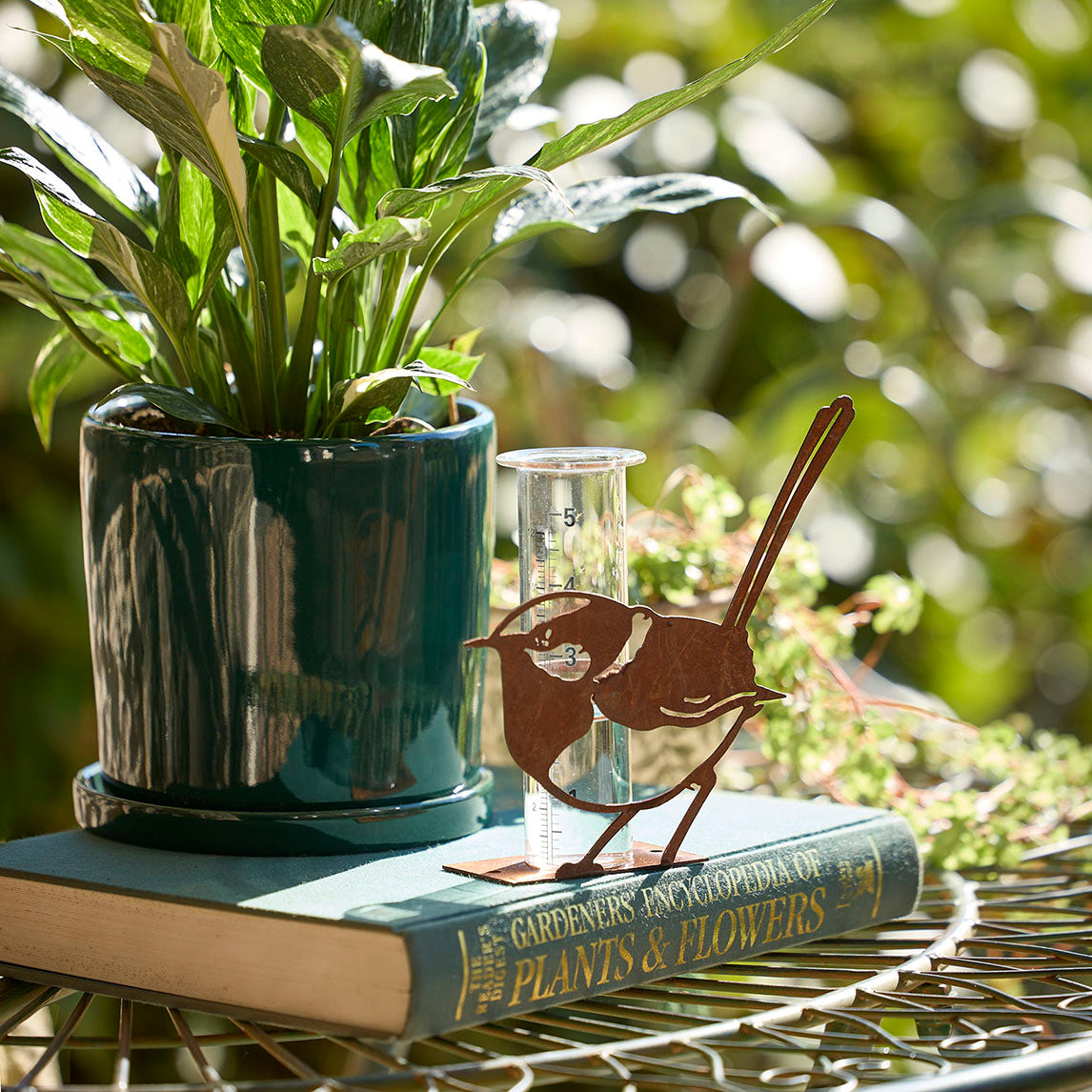 Rain Gauge - Wren Standing