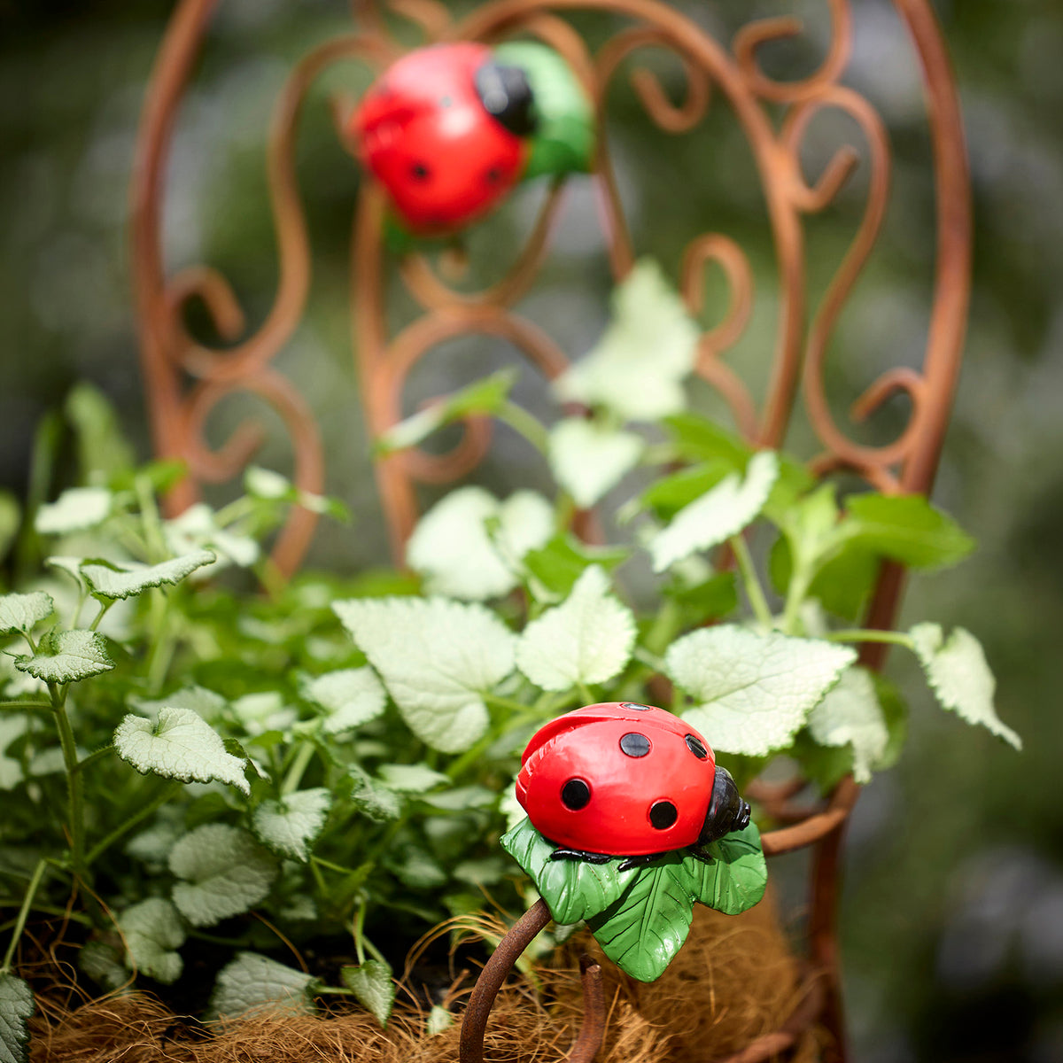 Lady Bug Pot Sitter Set 2
