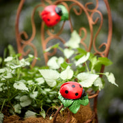 Lady Bug Pot Sitter Set 2