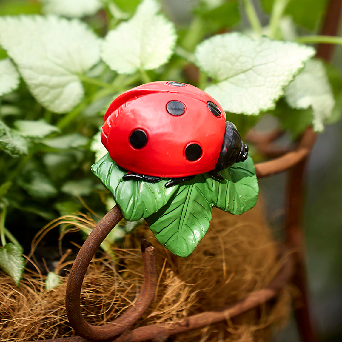 Lady Bug Pot Sitter Set 2