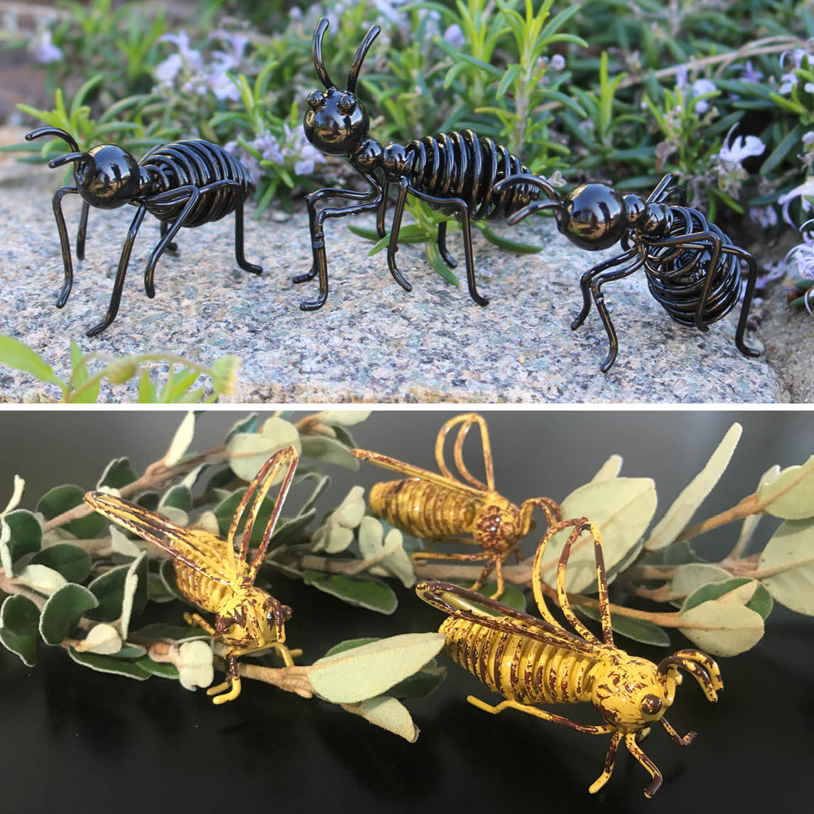 Tiny Heroes of the Garden — Wire Ants & Bees