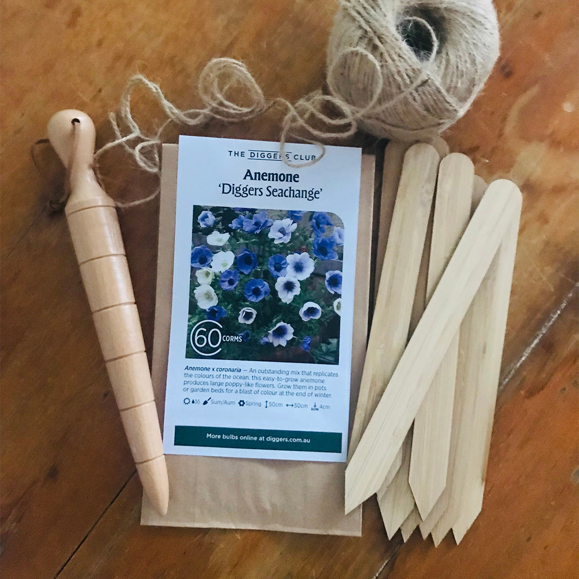 Cut Flower Bundle- ANEMONE DIGGERS SEACHANGE (60 Bulbs)