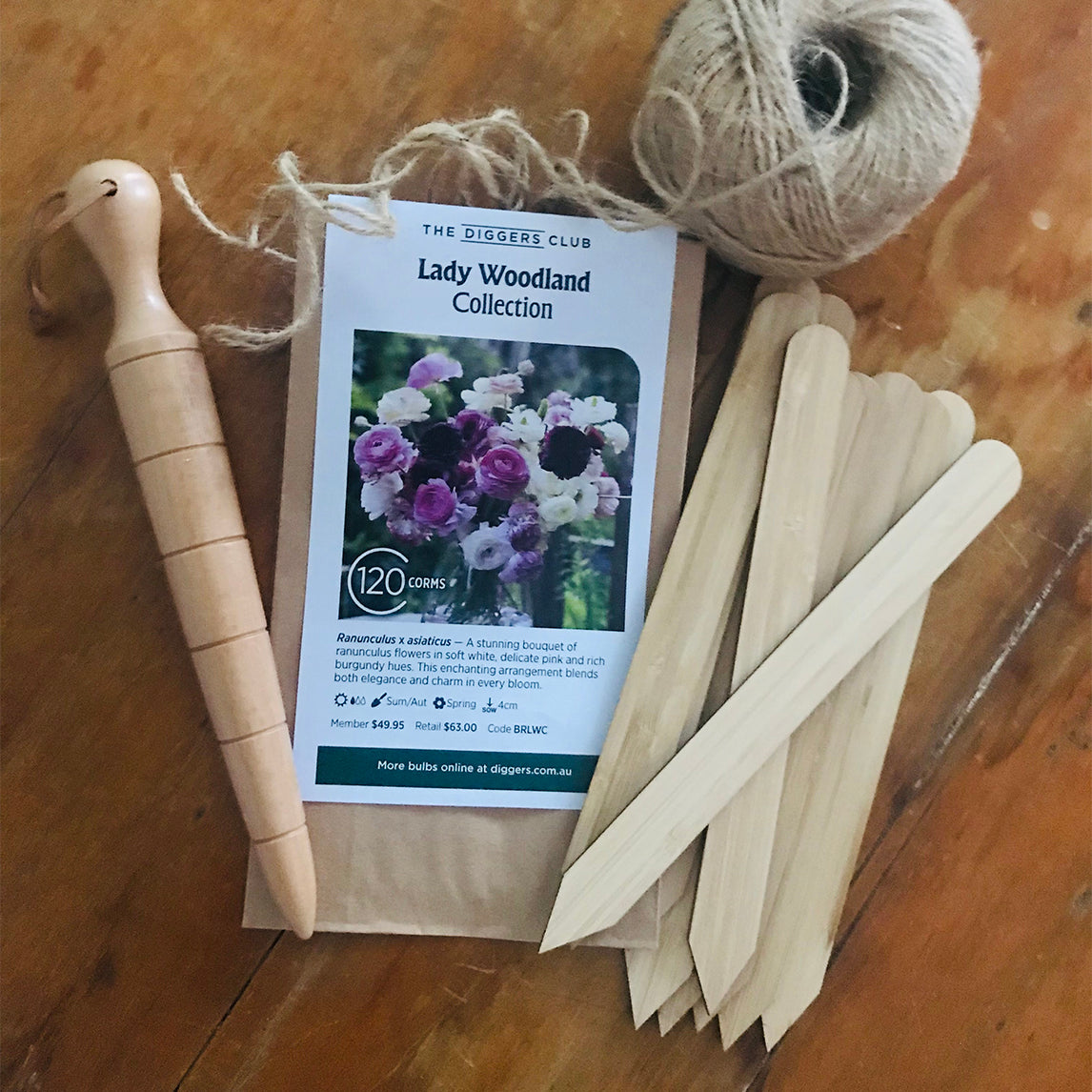 Cut Flower Bundle - Ranunculus Lady Woodland 120 Bulbs