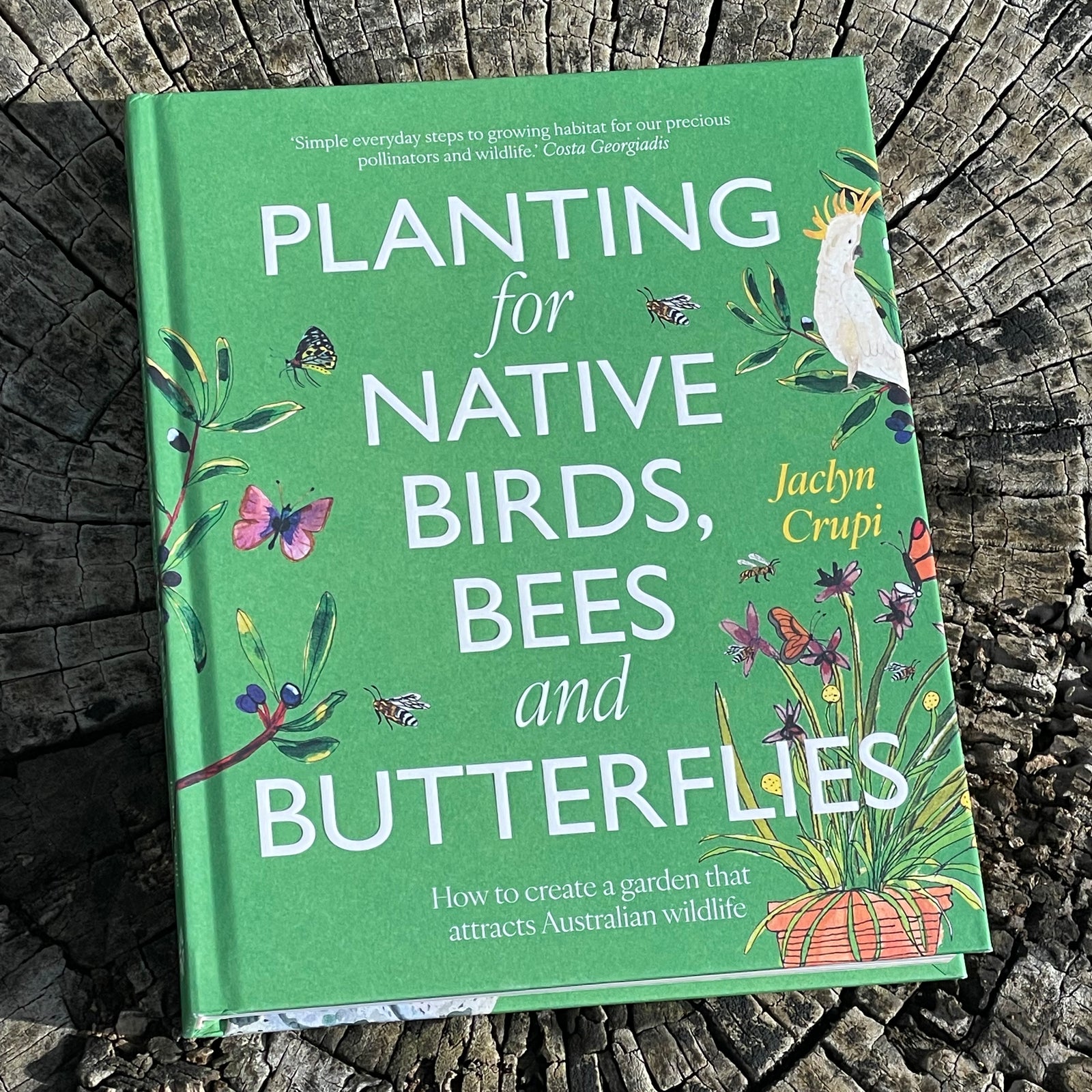 Planting for Native Birds, Bees and Butterflies by Jaclyn Crupi