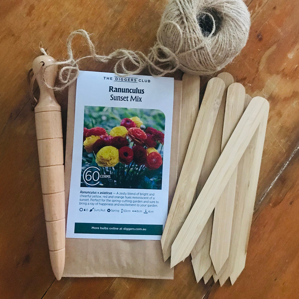 Cut Flower Bundle - RANUNCULUS SUNSET (60 Bulbs)