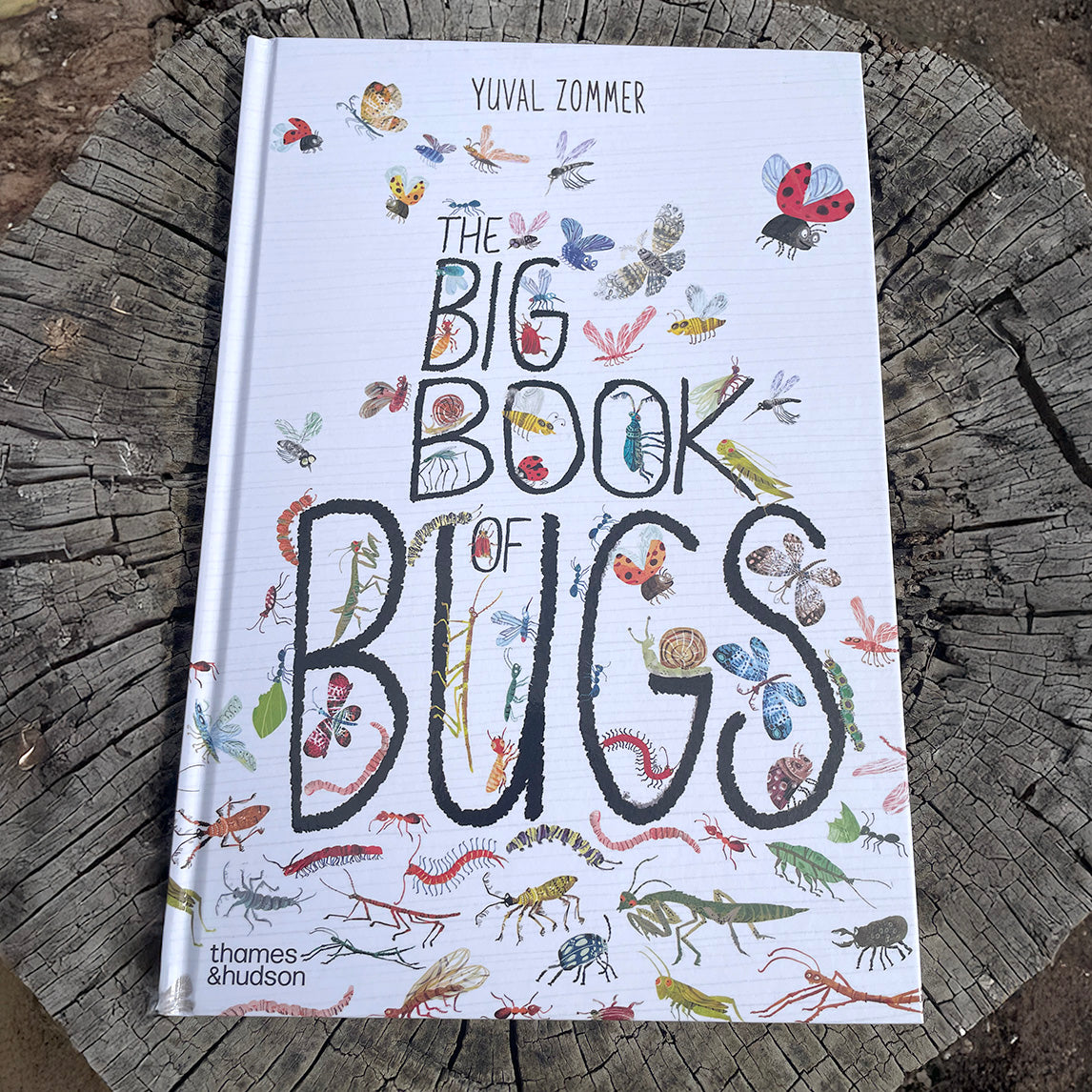 The Big Book of Bugs by Yuval Zommer