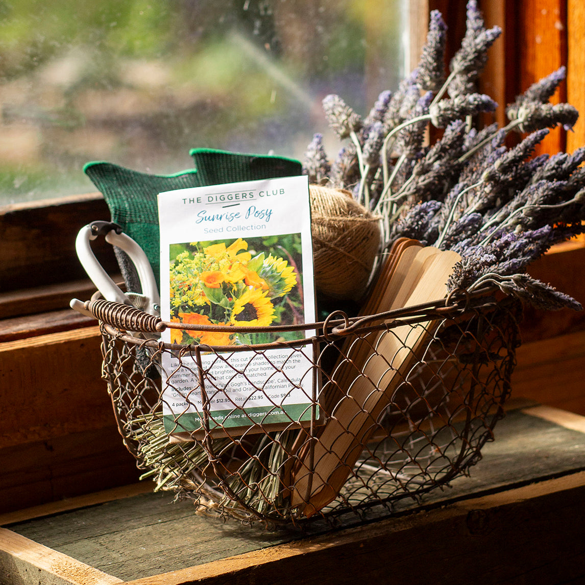 Cut Flower Bundle - Sunrise Posy