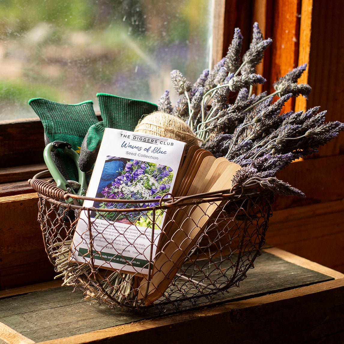 Cut Flower Bundle - Waves of blue