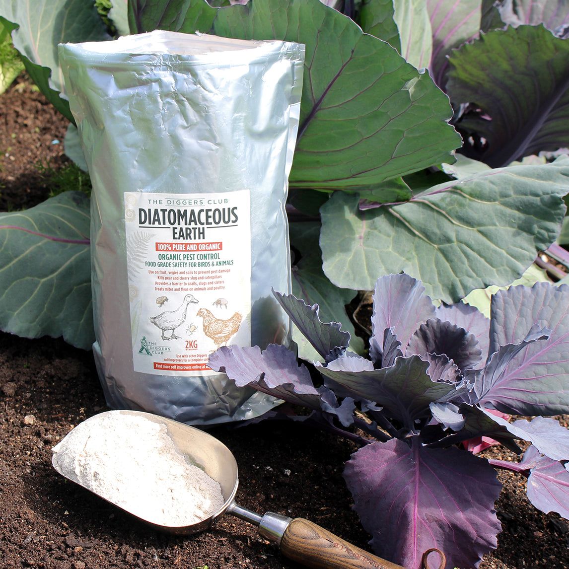 All Natural Diatomaceous Earth