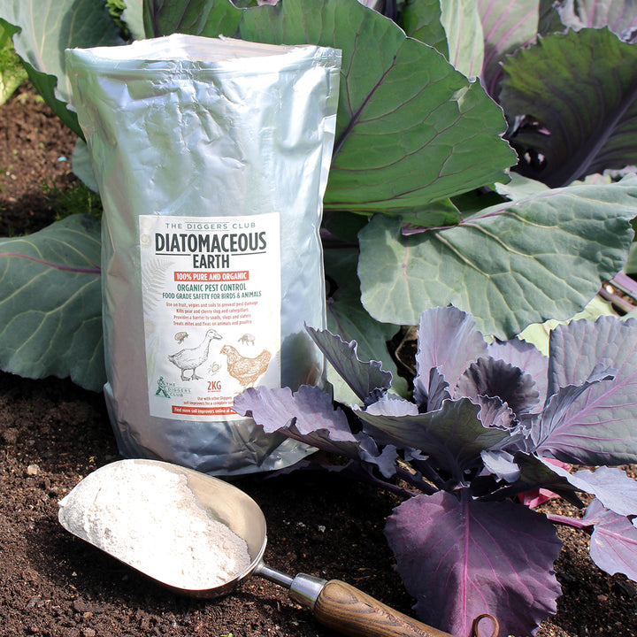 All Natural Diatomaceous Earth