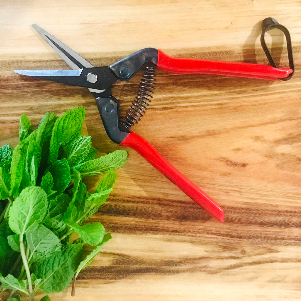 Quality Pruning Snips